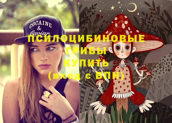 гидра Абинск